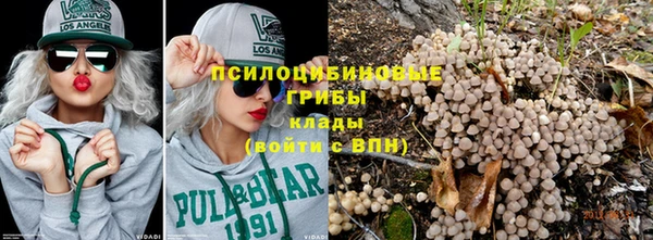 винт Пересвет