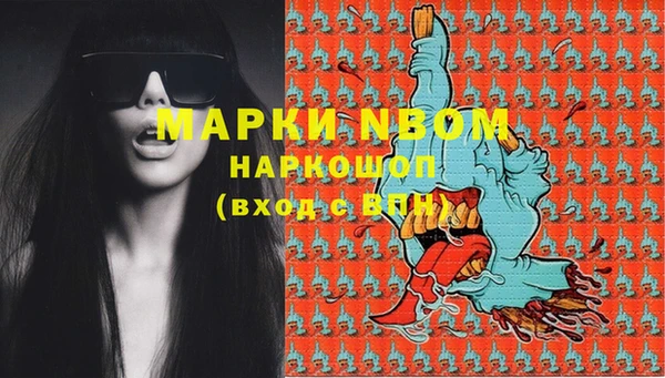 гашик Пестово