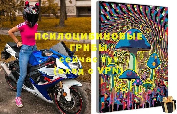гашик Пестово